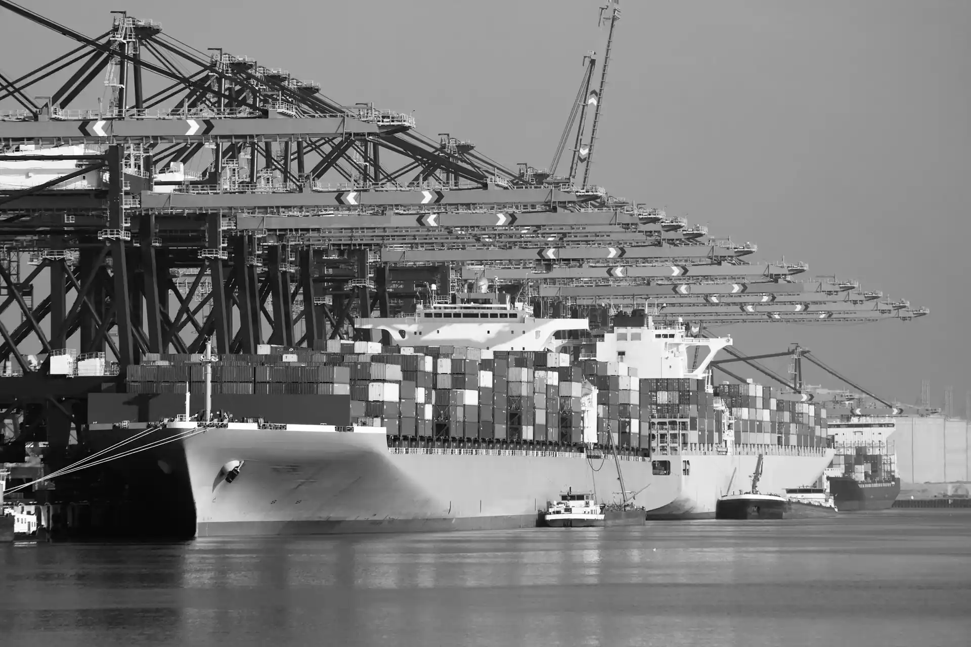 Loaded container ship berthed beneath a row of ship-to-shore gantry cranes at a port terminal, seen from the water. Black and white photograph.